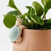 GigiandTom Timmy Turtle Ceramic Pot Hanger