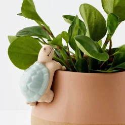 GigiandTom Timmy Turtle Ceramic Pot Hanger
